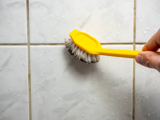 Best Industrial Mold Remediation in Centerville, IA