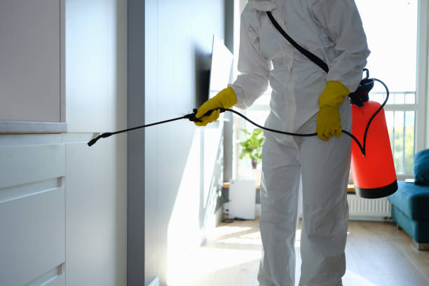 Centerville, IA Mold Remediation Company